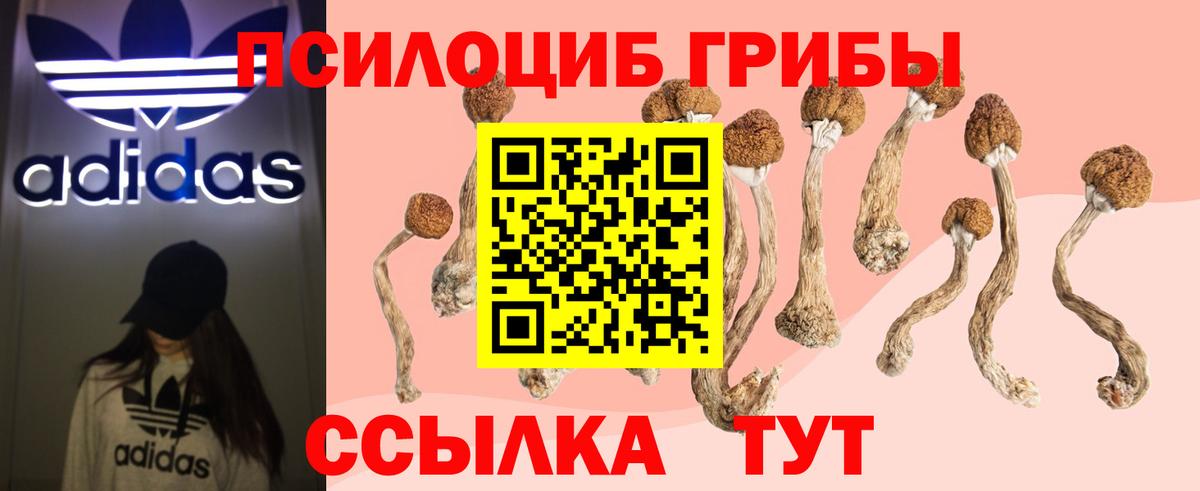 Псилоцибиновые грибы GOLDEN TEACHER  Вход с VPN  Симферополь 